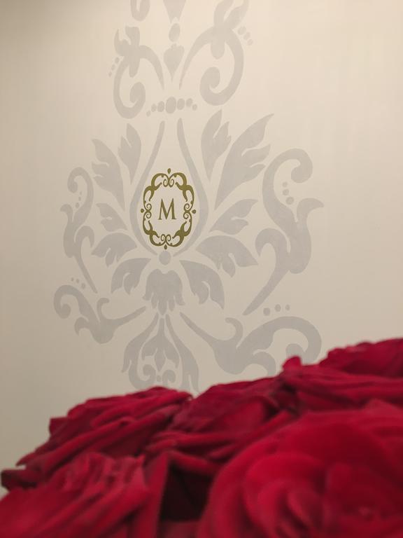 Appartements Prestige - Demeure M Strasbourg Exterior foto